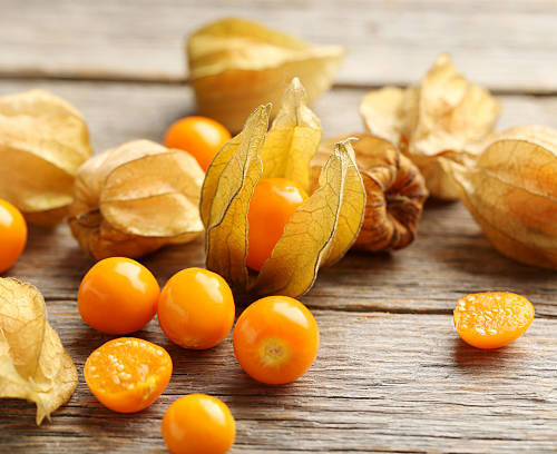 Discover the benefits of Physalis or golden berry
