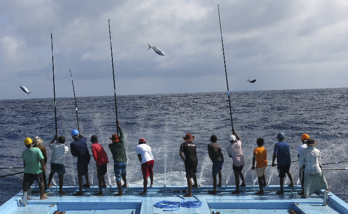 Tourists engaged in fishing activities in Maldives